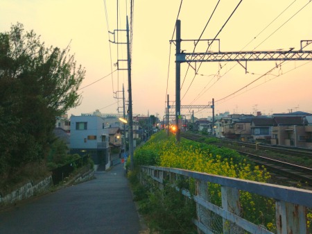 On second thoughts, the unbearable Japanese summer may be worth suffering through. Photo by author.